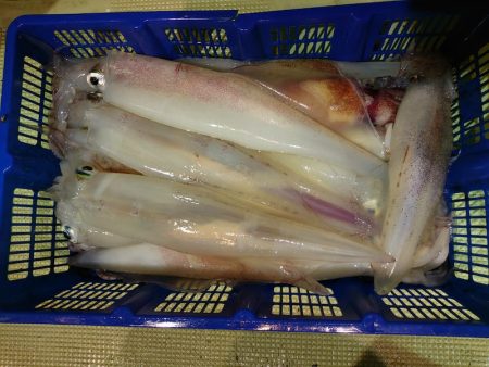 海龍丸（石川） 釣果