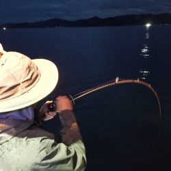 アマテラス 釣果