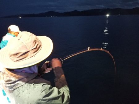 アマテラス 釣果