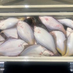 第二　つれたか丸 釣果