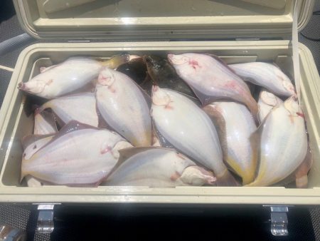 第二　つれたか丸 釣果