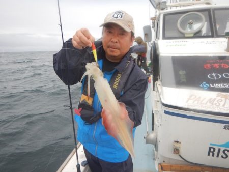 きずなまりん 釣果