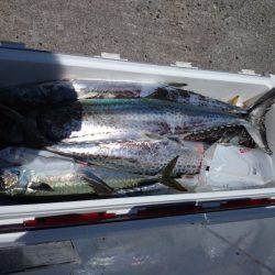 ありもと丸 釣果