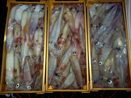 第二龍勢丸 釣果