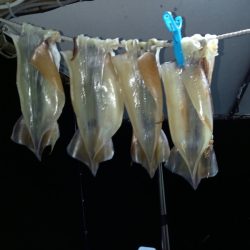 第二龍勢丸 釣果