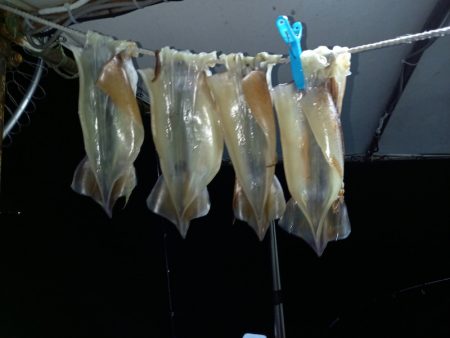 第二龍勢丸 釣果