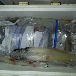 第二龍勢丸 釣果