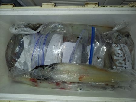 第二龍勢丸 釣果