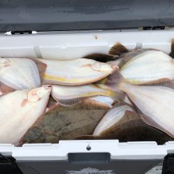 第二 つれたか丸 釣果