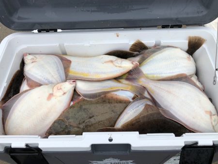 第二 つれたか丸 釣果