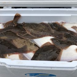 第二 つれたか丸 釣果