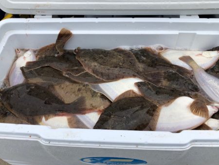 第二 つれたか丸 釣果