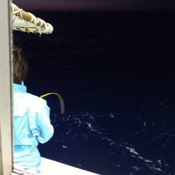 第二龍勢丸 釣果