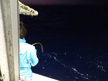 第二龍勢丸 釣果