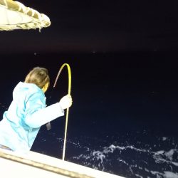 第二龍勢丸 釣果