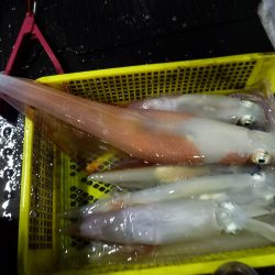 第二龍勢丸 釣果