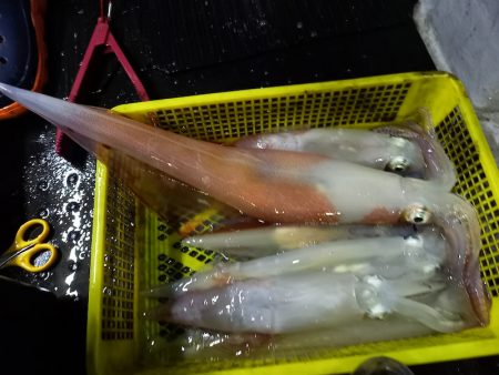 第二龍勢丸 釣果