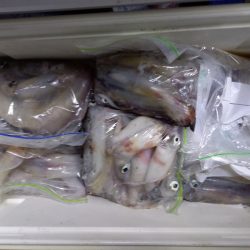 第二龍勢丸 釣果