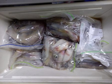 第二龍勢丸 釣果