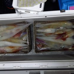 第二龍勢丸 釣果