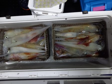 第二龍勢丸 釣果