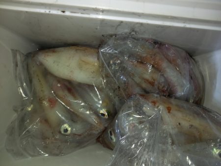 第二龍勢丸 釣果