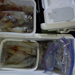 第二龍勢丸 釣果