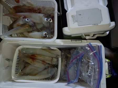 第二龍勢丸 釣果