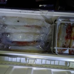 第二龍勢丸 釣果