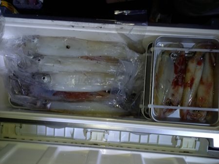 第二龍勢丸 釣果