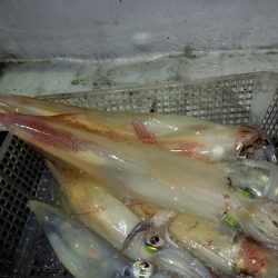 第二龍勢丸 釣果