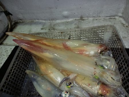 第二龍勢丸 釣果