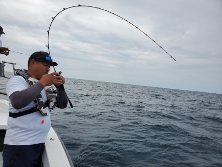 シーライオン 釣果