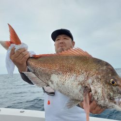 シーライオン 釣果