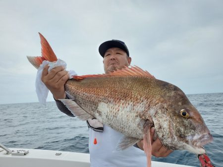 シーライオン 釣果