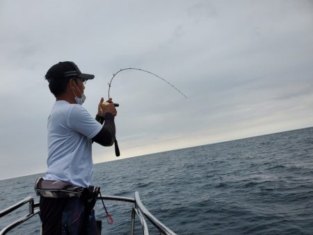 シーライオン 釣果