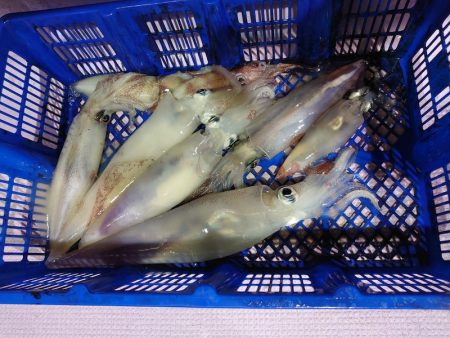 海龍丸（石川） 釣果