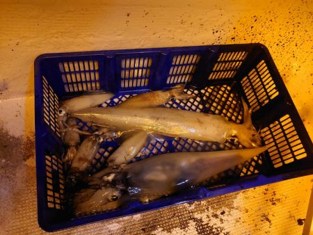 海龍丸（石川） 釣果