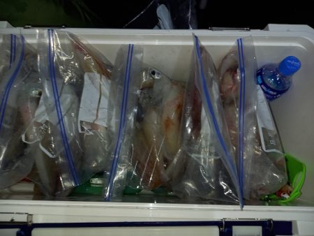 第二龍勢丸 釣果