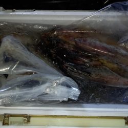 第二龍勢丸 釣果