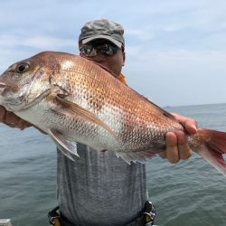 ランスルー 釣果