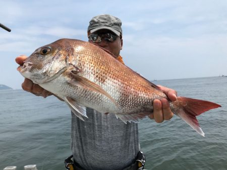 ランスルー 釣果