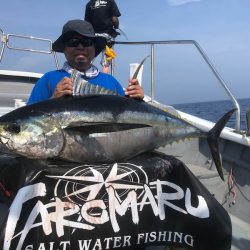 ＴＡＲＯＭＡＲＵ 釣果