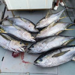 ＴＡＲＯＭＡＲＵ 釣果