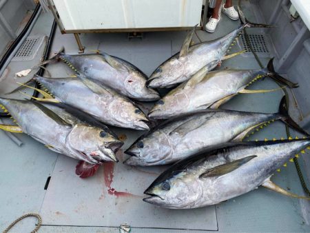 ＴＡＲＯＭＡＲＵ 釣果