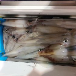 海龍丸（石川） 釣果