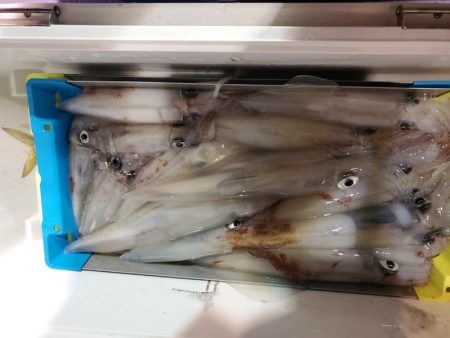 海龍丸（石川） 釣果