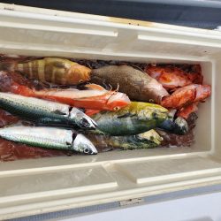 一華丸 釣果