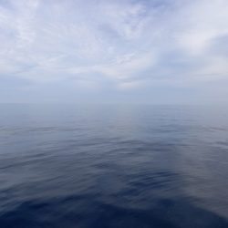 第二龍勢丸 釣果