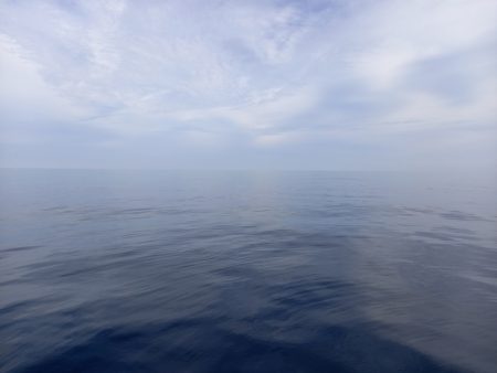 第二龍勢丸 釣果